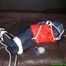 Watch Sandra bound gagged wearing her shiny nylon Rainwear