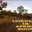 LESBOGEIL IM AFRIKA BUSCH