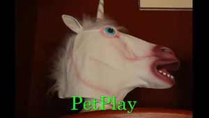 Pet Play Info Video