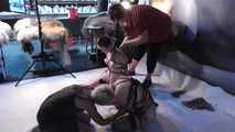 Another Two Girls Hogtie Challenge, featuring a Special Guest !