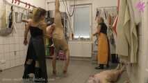 Dancing under the electric tongs  #shamslaughter #pigplay