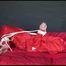 *** HOT HOT HOT*** NEW MODELL*** DESTINY wearing a new sexy red shiny nylon rain suit tied and gagged on bed with ropes and a cloth gag (Video)