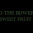 INTO THE BOWER | v1 Sweet Fruit