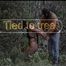 Tied in the forest – Quality Hi8, 720x576