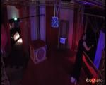 Blacklight installation @ Wasteland 20 year anniversary - video