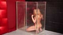 Stripped and trapped Naked inside the Cube - Britney Amber
