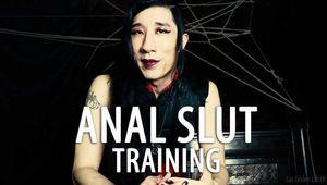 Anal Slut Training (JOI for Vagina Owners)