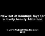 Neue Reihe von Bondage-Spielzeug für einen schönen Schönheit Alice Lee (video)