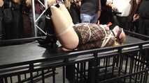 30 Minutes Hogtie Endurance Challenge - Tied in Public - Fayth on Fire tied by JJ Plush - the ultimate Humiliation !