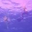 unterwasser Fetisch Meerjungfrauen 