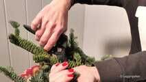Hands and fir branches - 1st part