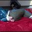 Jill tied and gagged on bed wearing a sexy grey shiny rain pants and a dark blue rain jacket (Video)