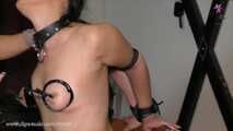 #Chairbondage with #nippletorture and #pussywhipping