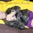 LUCY tied and gagged on a pillory in a bed wearing a supersexy selfmade purple shiny nylon shorts and a black rain jacket (Pics)