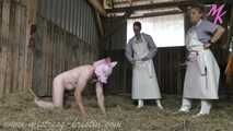 If the boar fails #mockslaughter of the boar #petplay #pigplay