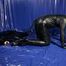 Rubber Dog Routine 2