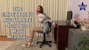 The Embezzler's Nightmare - Part One - Madi Meadows