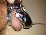 Fully sealed piss in chastity belt - 840 grams