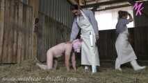 If the boar fails #mockslaughter of the boar #petplay #pigplay