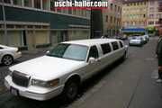 In the stretch limousine