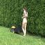 naked lawn mowing 