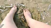 Sand and shells under my feet