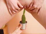Masturbating with a cactus