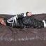 Sophie tied and gagged on a sofa in a shiny black PVC sauna suit (Video)