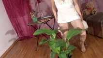 032053 Sam Cannot Be Bothered Going To The Toilet And So Pees In Her Rubber Plant