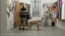 The trained boar - How to turn a #pig into a ham with the #whip #shamslaughtering