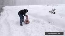 Naked barefoot Greta is tightly bound in snow - Part 2