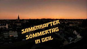 SAMENHAFTER SOMMERTAG IN GEIL