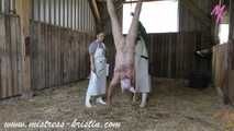 3 pigs in the barn #homeslaughtering roleplay in a real #stable