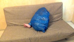 [From archive] Stella - ball packed in trash bag (video)