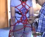 Shibari 3 (VCD)