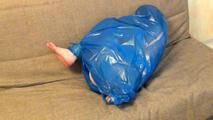 [From archive] Stella - ball packed in trash bag (video)