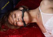 Tiffany Hogtied