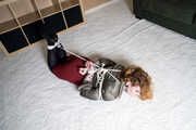 Proserpine in Workwear Hogtie