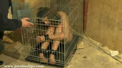 Stored In A Cage