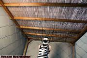 Zebra girl caught and restrained, part 2 of 3