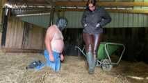 A new chaste stable boy at work