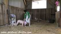 3 pigs in the barn #homeslaughtering roleplay in a real #stable