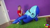 31 Susi's Blue Dolphin Dream