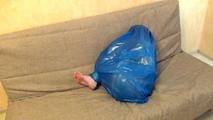 [From archive] Stella - ball packed in trash bag (video)