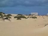 Fuerteventura - another nude day on the beach