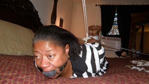 Suspended hogtie