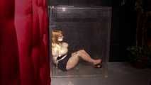  Trapped in the Cube - Secretary Lorelei is Held Captive