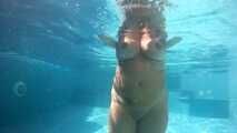 Nude Pool-diver