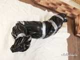 [From archive] Marsa - Mummified and taped in trash bag staying 02