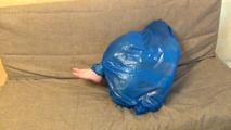 [From archive] Stella - ball packed in trash bag (video)